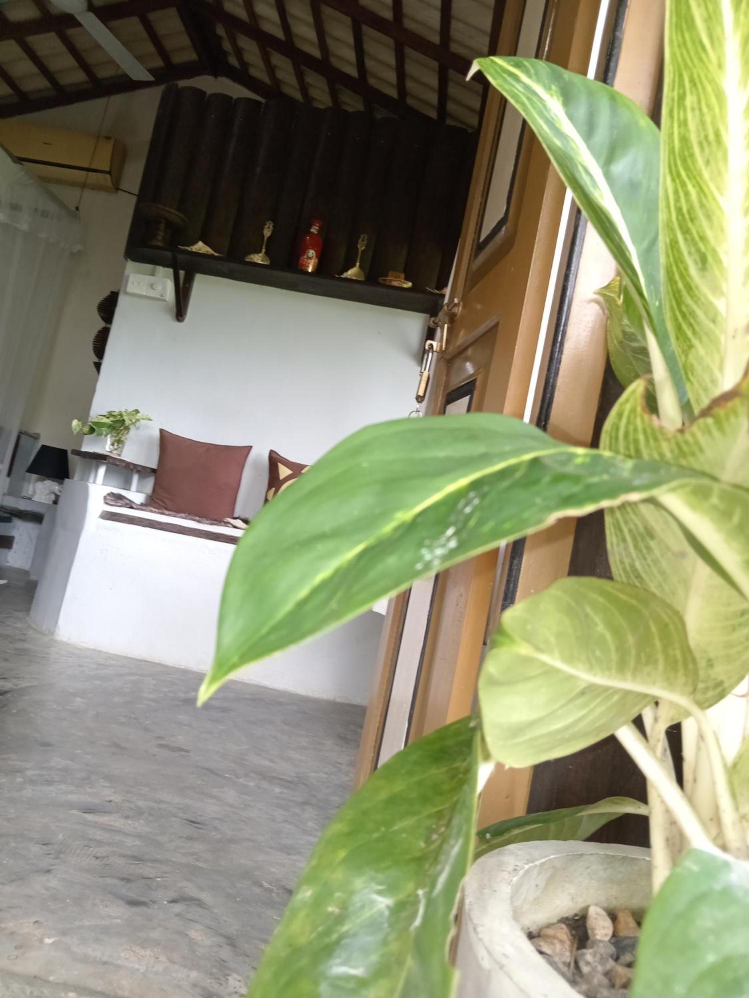 Hathawariya Green View Cabin 陶尔佩 外观 照片